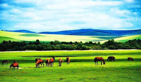 内蒙古，草原之韵与商机之海