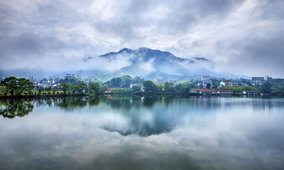 浙江的经济、文化与社会发展深度研究