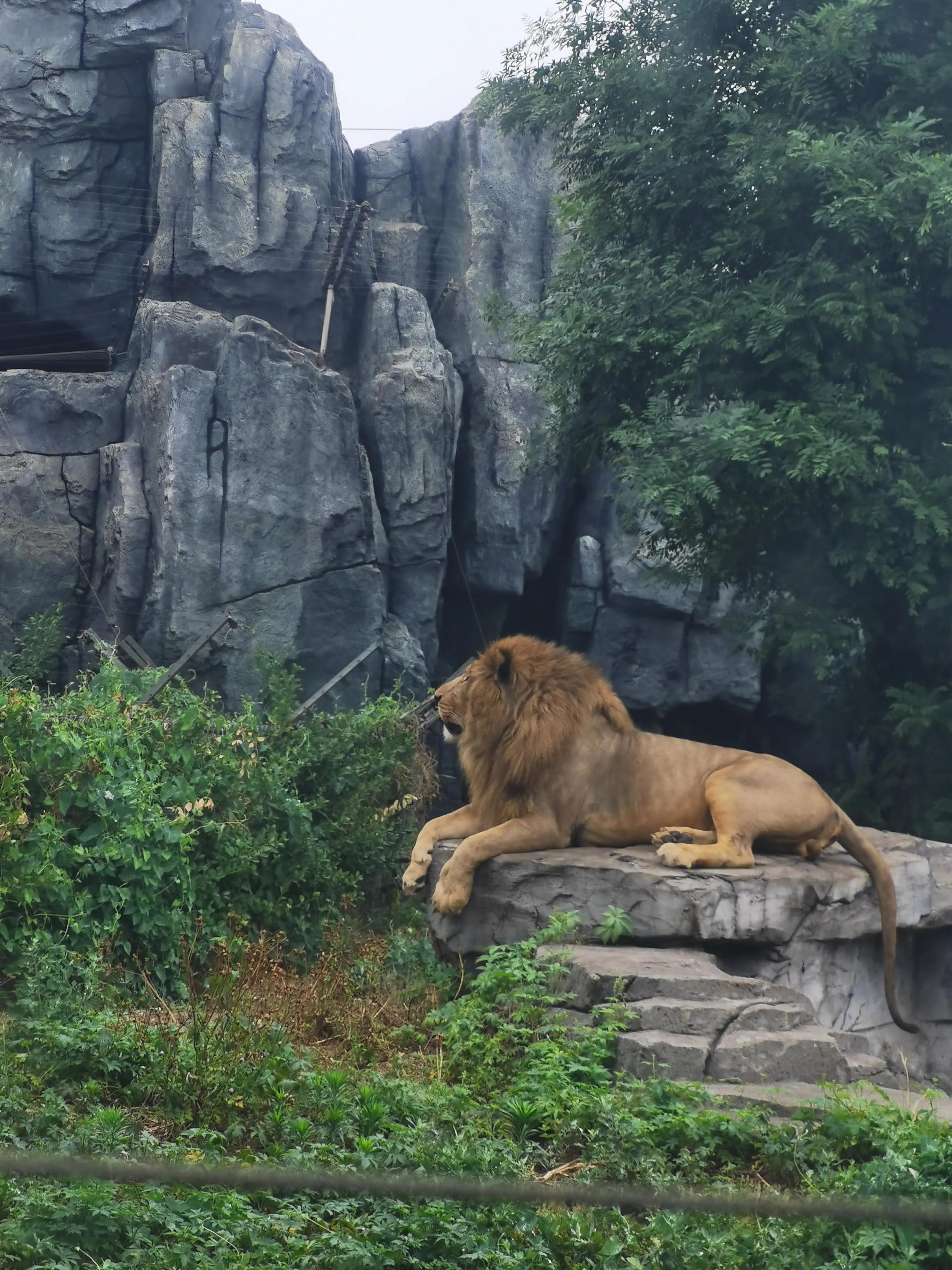 唐山,历经沧桑与辉煌的城市传奇